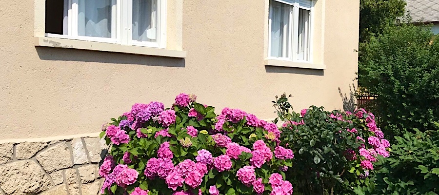 Diófa Apartman-Balatonederics-30588