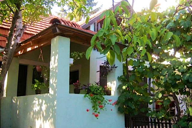 Diófa Nyaraló-Balatonalmádi-30361