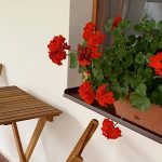 Doma Vendégház-Abádszalók-36133