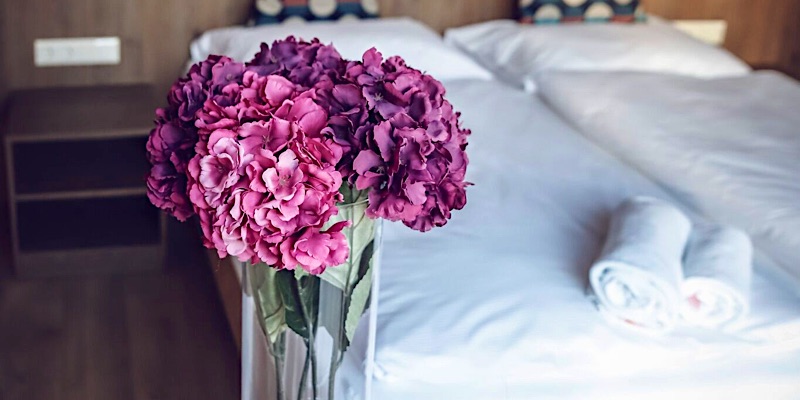 Dreko Panzió és Borbisztró-Győrújbarát-42263