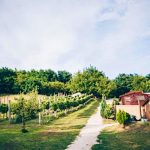 Dutch Hill-Zalacsány-30076