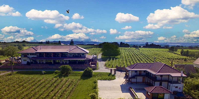 Ebner Pince Panzió-Mozsgó-42532