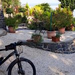 Éderbirtok Vendégház-Badacsonytomaj-69646