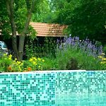 Endes Major-Pakod-24443