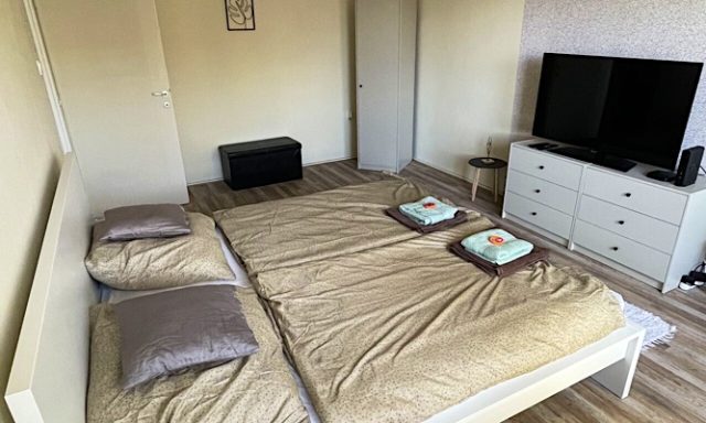 Erika Boutique Apartman-Gyomaendrőd-60764