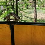 Erzsébet Vendégház-Szarvas-67131