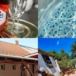 Estina House-Balatonboglár-61205