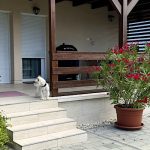 Éva Apartman-Balatonfenyves-68645