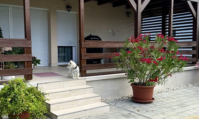 Éva Apartman-Balatonfenyves-68645