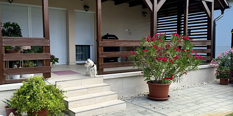 Éva Apartman-Balatonfenyves-68645