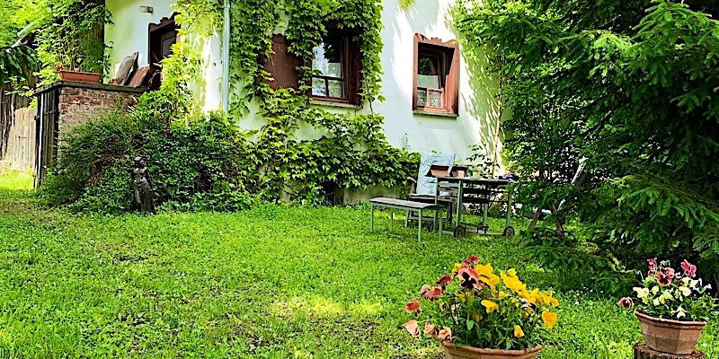 Fagyöngy Pajtaház-Őriszentpéter-44219