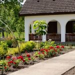 Família Tanya Panzió-Szatymaz-42809