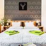 Family Apartment Downtown-Budapest-35582