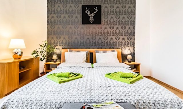 Family Apartment Downtown-Budapest-35582