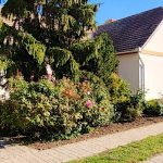 Fehér Tulipán Vendégház-Poroszló-43018