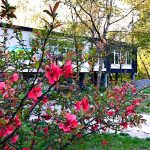 Fekete Gólya Pihenőház-Baja-60574