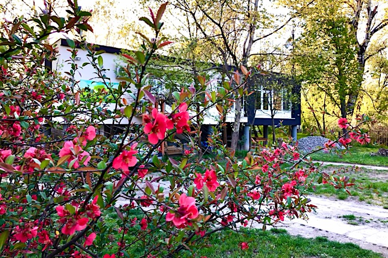 Fekete Gólya Pihenőház-Baja-60574