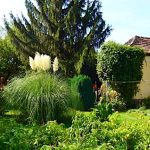 Fenyő Vendégház-Badacsony-30227