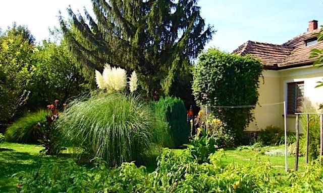 Fenyő Vendégház-Badacsony-30227