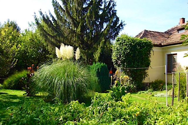 Fenyő Vendégház-Badacsony-30227