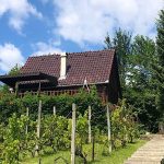 Fenyveshegyi Házikó-Verőce-53691