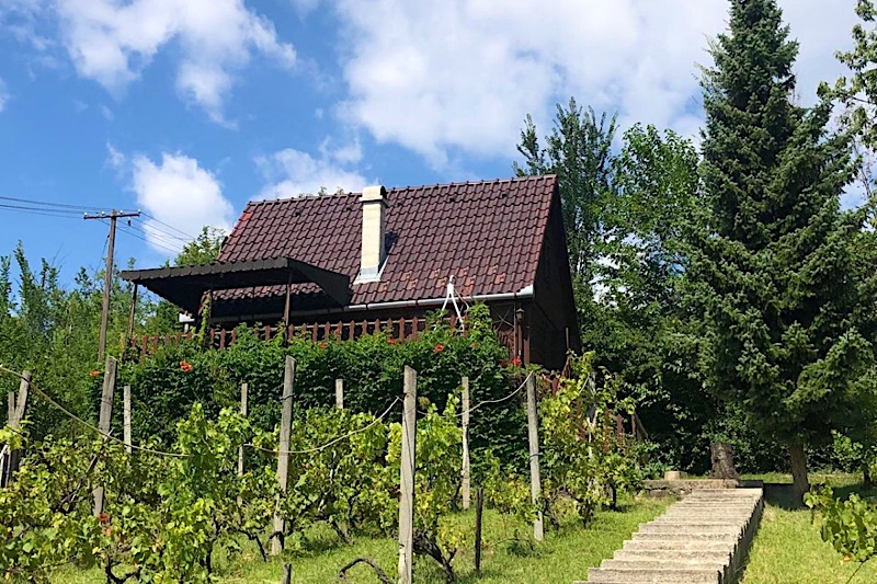 Fenyveshegyi Házikó-Verőce-53691