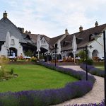 Fiastyúk Udvarház-Csór-42863