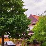 Gesztenyés Panzió Étterem-Felsőtárkány-36556