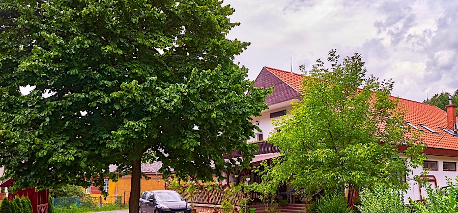 Gesztenyés Panzió Étterem-Felsőtárkány-36556