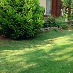 Gica Apartman-Balatonlelle-41432