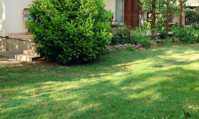 Gica Apartman-Balatonlelle-41432
