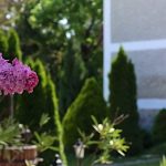 Granarius Udvarház-Dörgicse-34175