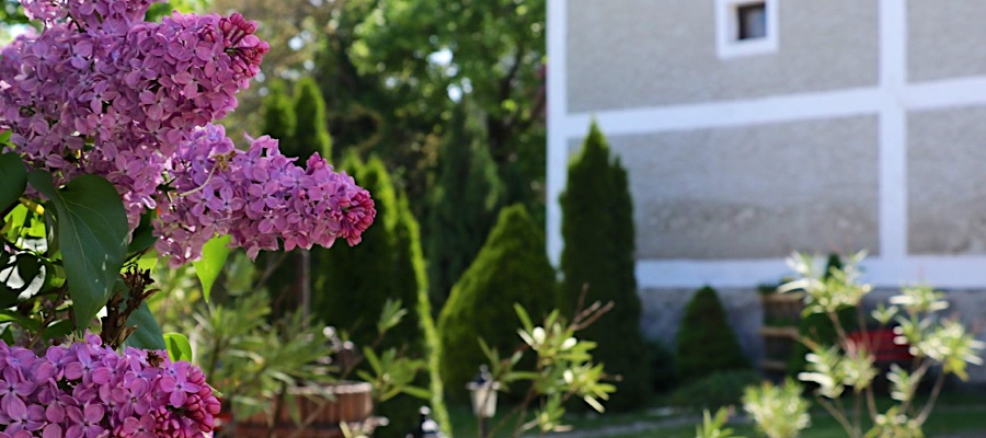 Granarius Udvarház-Dörgicse-34175