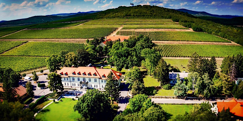 Gróf Degenfeld Kastélyszálló-Tarcal-69078