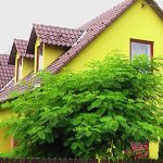 Gyetvai Ház-Abádszalók-36216