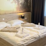 Gyirmót Sport & Wellness Hotel-Győr-38287