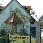Gyulatanya-Csongrád-7999