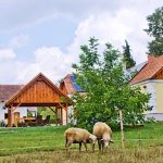 Harmatcsepp Vendégház-Kercaszomor-35309