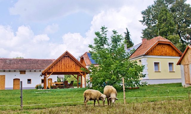 Harmatcsepp Vendégház-Kercaszomor-35309