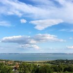 Hegyi Füge Vendégház-Csopak-63498