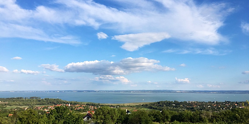 Hegyi Füge Vendégház-Csopak-63498