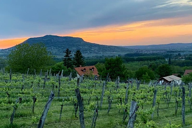 Hegypanoráma-Nemesgulács-27429