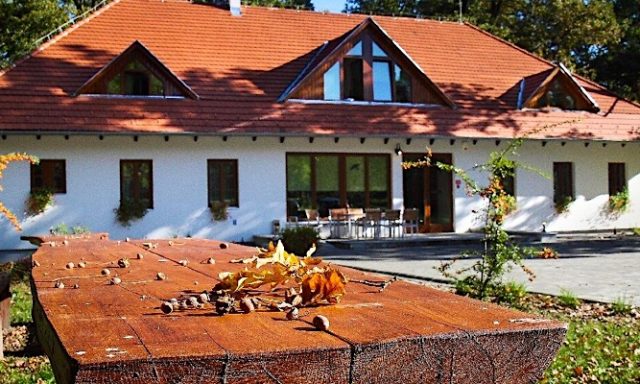 Hódos-éri Vadászház Hotel-Bakonyszentlászló-38610