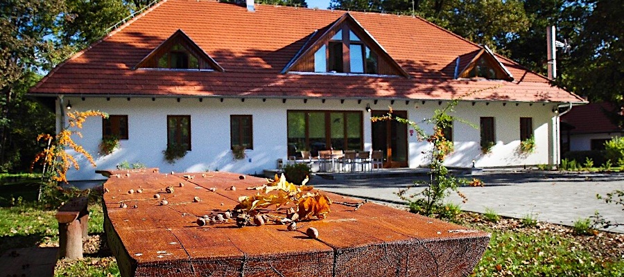 Hódos-éri Vadászház Hotel-Bakonyszentlászló-38610