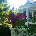 Holdviola Nyaralóház-Balatonföldvár-30685