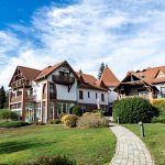 Hotel Kardosfa-Zselickisfalud-38368