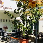 Hotel Magnólia-Balatonszepezd-31311