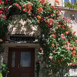 Hotel Romantik-Eger-36656