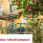 Hotel Spa-Hévíz-31614