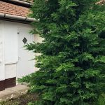 Ilcsi Vendégház-Abádszalók-36036